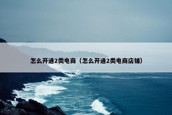 怎么开通2类电商（怎么开通2类电商店铺）