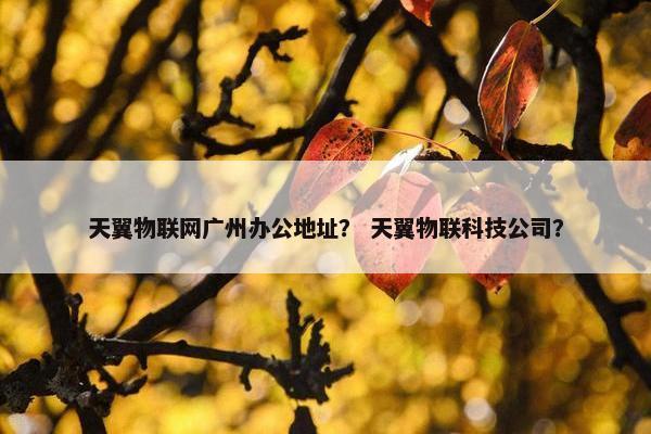 天翼物联网广州办公地址？ 天翼物联科技公司？