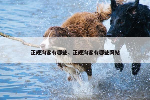 正规淘客有哪些，正规淘客有哪些网站