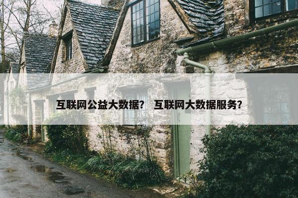 互联网公益大数据？ 互联网大数据服务？
