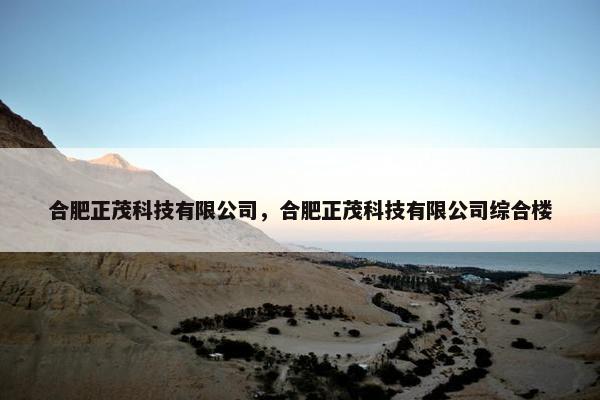 合肥正茂科技有限公司，合肥正茂科技有限公司综合楼