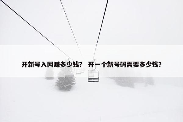 开新号入网赚多少钱？ 开一个新号码需要多少钱？