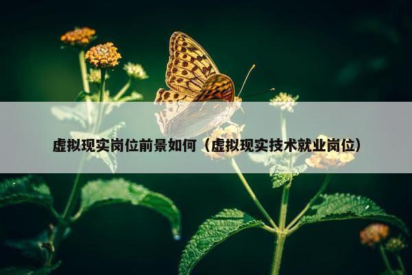 虚拟现实岗位前景如何（虚拟现实技术就业岗位）
