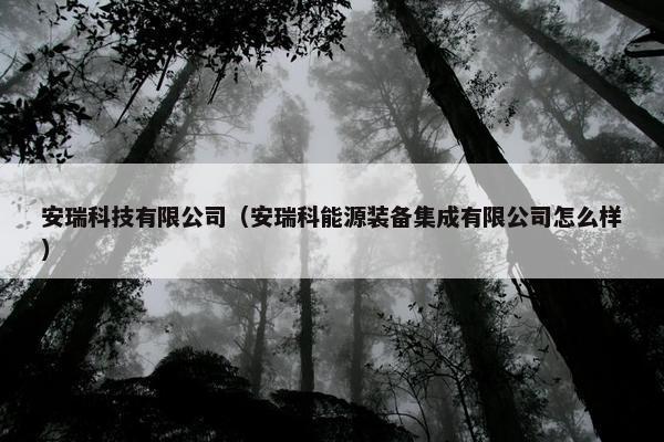 安瑞科技有限公司（安瑞科能源装备集成有限公司怎么样）