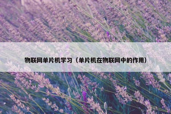 物联网单片机学习（单片机在物联网中的作用）