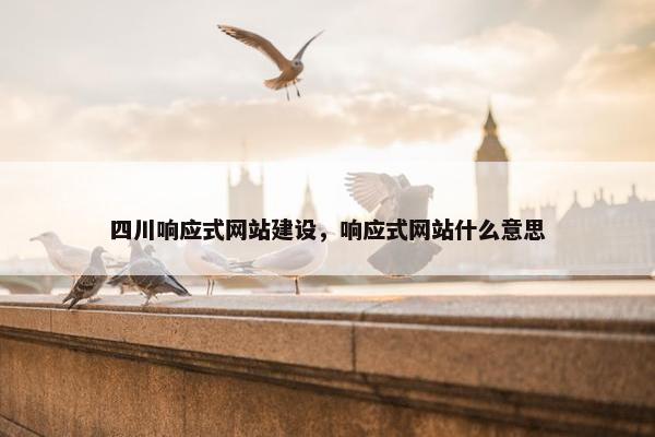 四川响应式网站建设，响应式网站什么意思