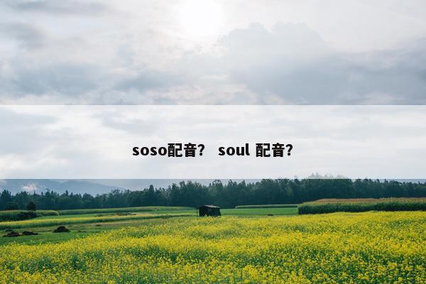 soso配音？ soul 配音？