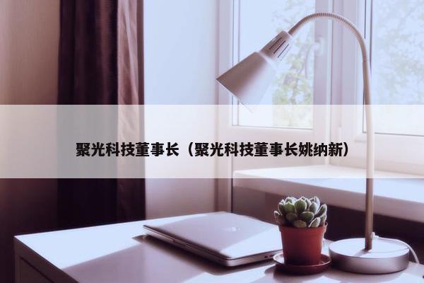 聚光科技董事长（聚光科技董事长姚纳新）