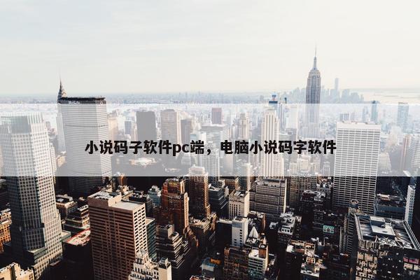 小说码子软件pc端，电脑小说码字软件