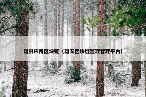 雄县应用区块链（雄安区块链监理管理平台）