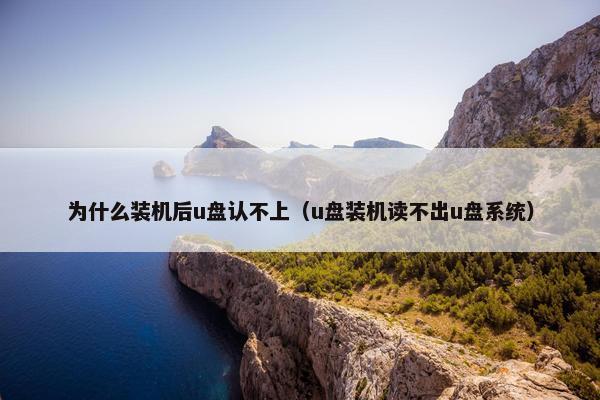 为什么装机后u盘认不上（u盘装机读不出u盘系统）