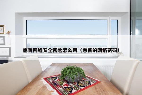 惠普网络安全密匙怎么用（惠普的网络密码）