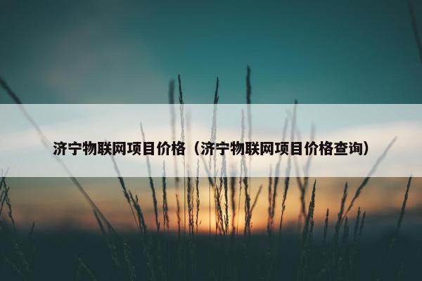 济宁物联网项目价格（济宁物联网项目价格查询）