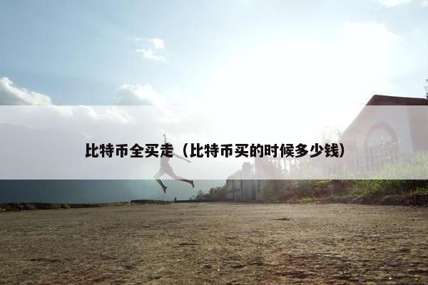 比特币全买走（比特币买的时候多少钱）