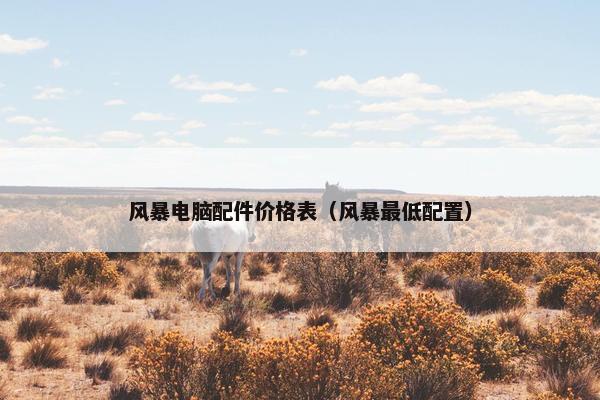 风暴电脑配件价格表（风暴最低配置）