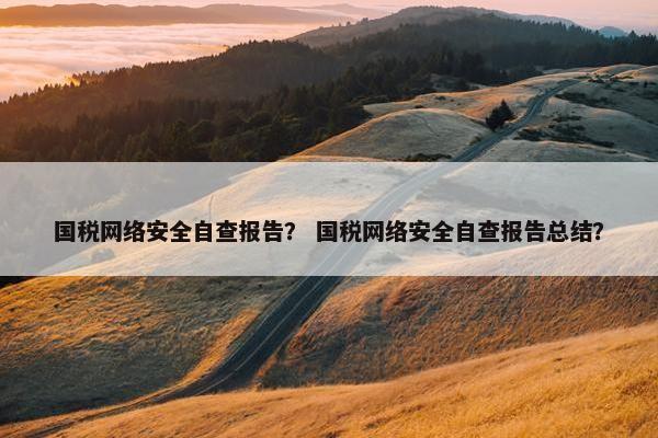 国税网络安全自查报告？ 国税网络安全自查报告总结？