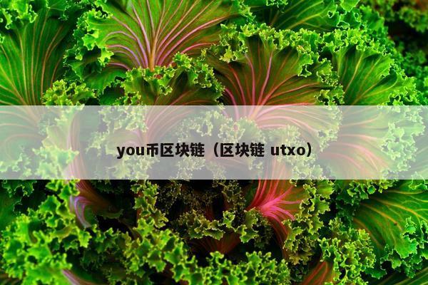 you币区块链（区块链 utxo）