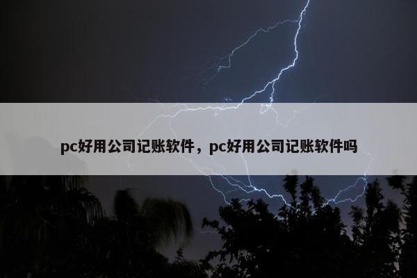pc好用公司记账软件，pc好用公司记账软件吗