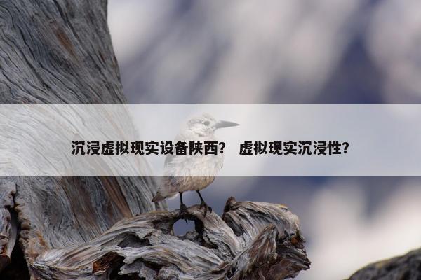 沉浸虚拟现实设备陕西？ 虚拟现实沉浸性？