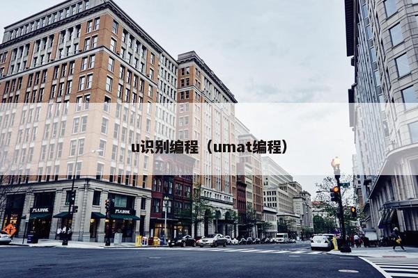 u识别编程（umat编程）