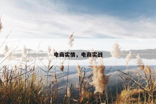 电商实情，电商实战