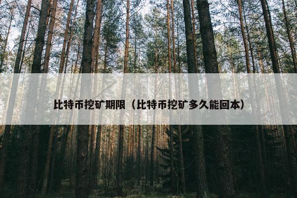 比特币挖矿期限（比特币挖矿多久能回本）