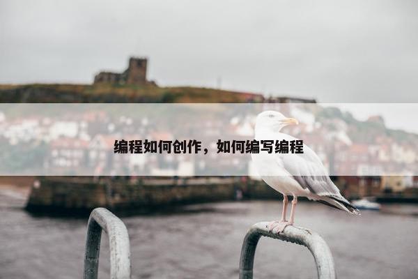编程如何创作，如何编写编程