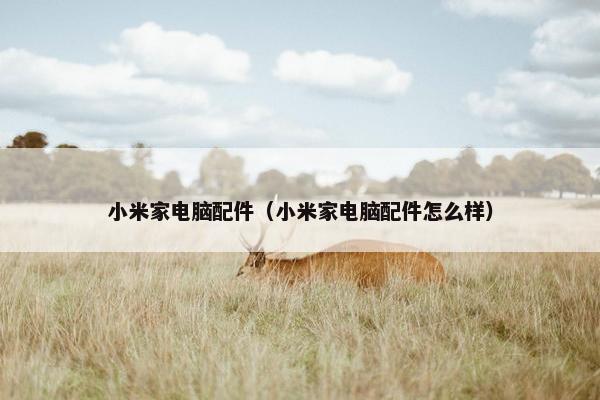 小米家电脑配件（小米家电脑配件怎么样）