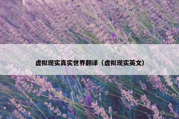 虚拟现实真实世界翻译（虚拟现实英文）