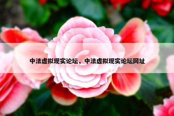 中法虚拟现实论坛，中法虚拟现实论坛网址