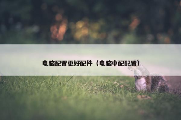 电脑配置更好配件（电脑中配配置）