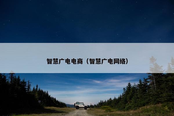 智慧广电电商（智慧广电网络）