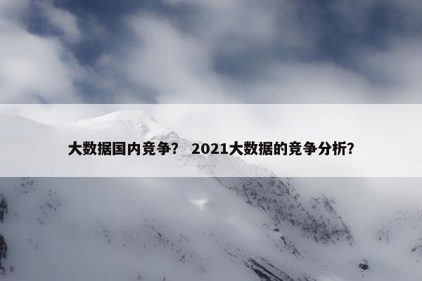 大数据国内竞争？ 2021大数据的竞争分析？