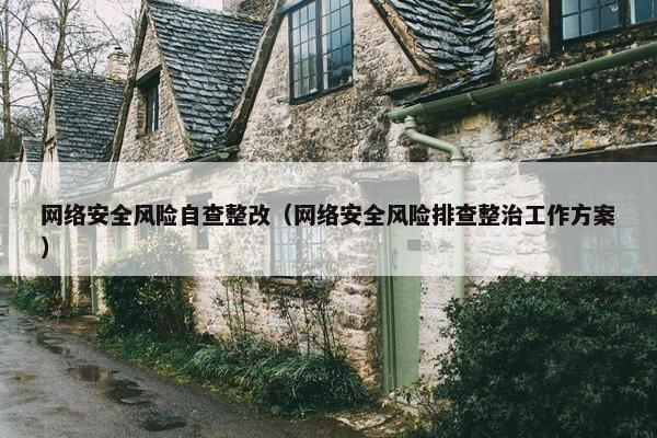 网络安全风险自查整改（网络安全风险排查整治工作方案）