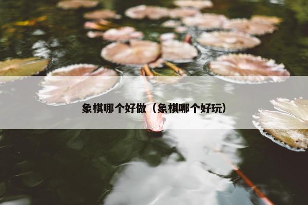 象棋哪个好做（象棋哪个好玩）
