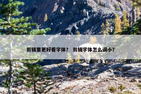 剪辑里更好看字体？ 剪辑字体怎么调小？