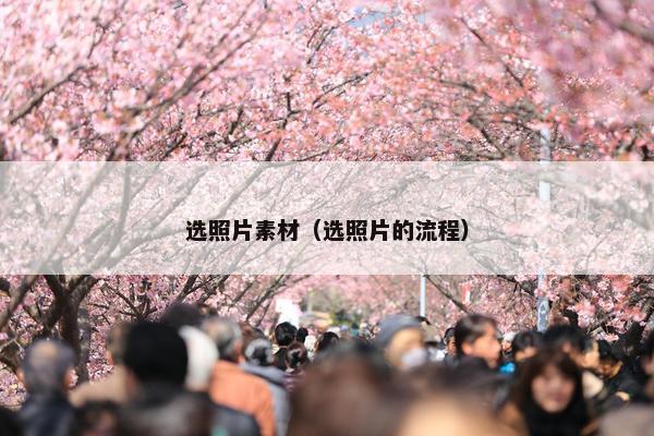 选照片素材（选照片的流程）