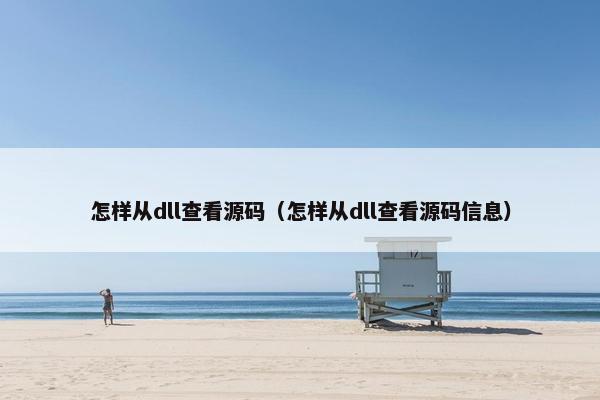 怎样从dll查看源码（怎样从dll查看源码信息）