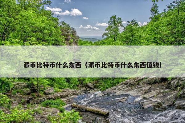 派币比特币什么东西（派币比特币什么东西值钱）