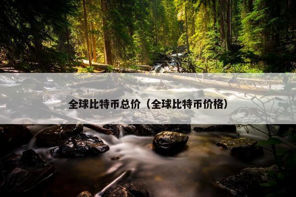全球比特币总价（全球比特币价格）