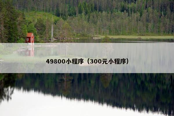 49800小程序（300元小程序）