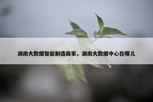 湖南大数据智能制造商家，湖南大数据中心在哪儿