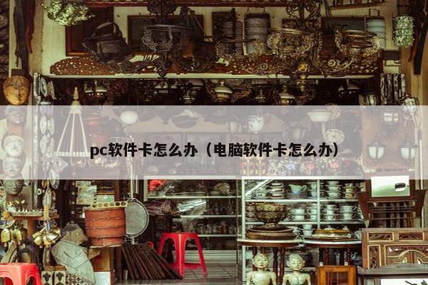 pc软件卡怎么办（电脑软件卡怎么办）
