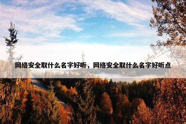 网络安全取什么名字好听，网络安全取什么名字好听点