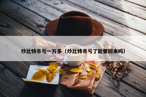 炒比特币亏一万多（炒比特币亏了能要回来吗）