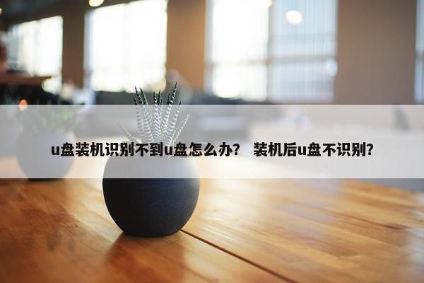 u盘装机识别不到u盘怎么办？ 装机后u盘不识别？