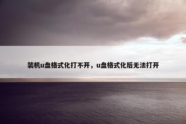 装机u盘格式化打不开，u盘格式化后无法打开