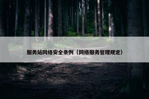 服务站网络安全条例（网络服务管理规定）
