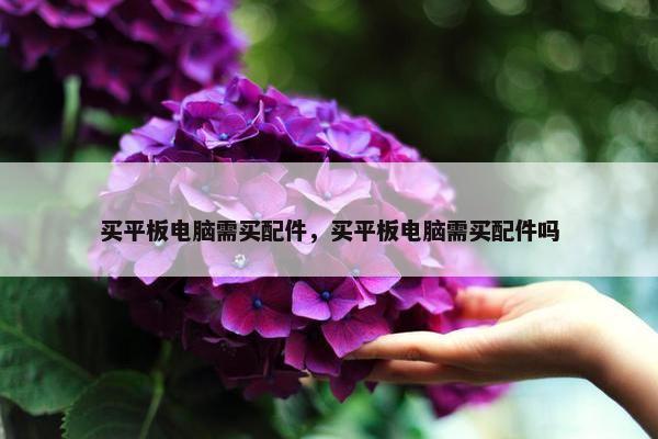 买平板电脑需买配件，买平板电脑需买配件吗