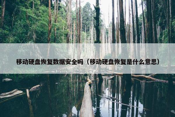 移动硬盘恢复数据安全吗（移动硬盘恢复是什么意思）